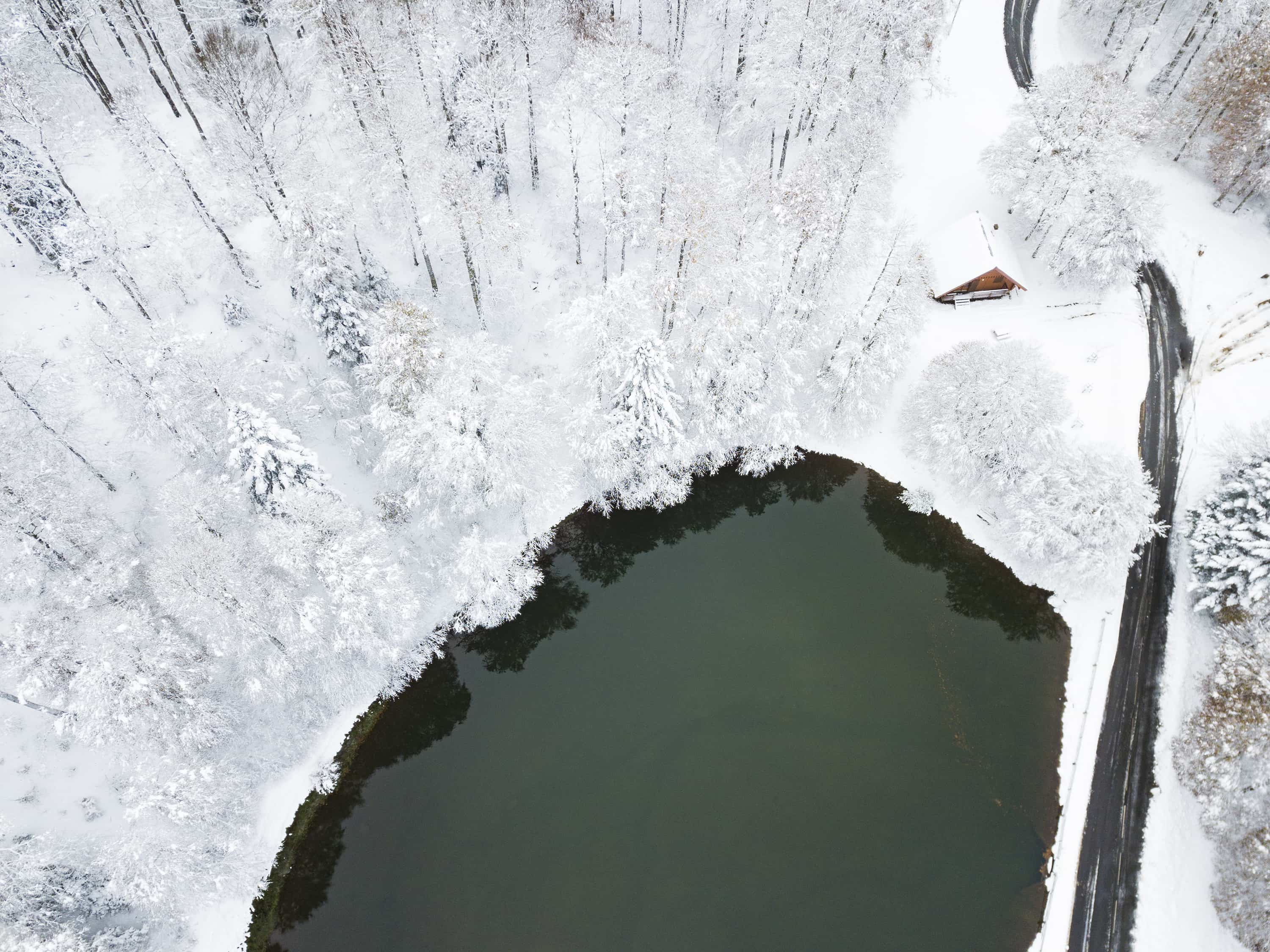 Foret d'Iraty sous la neige