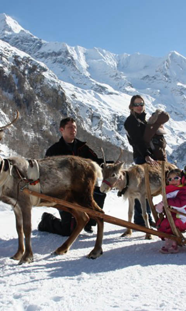 Le Mag vacances - Balade en traineaux avec les Rennes du Père-Noël