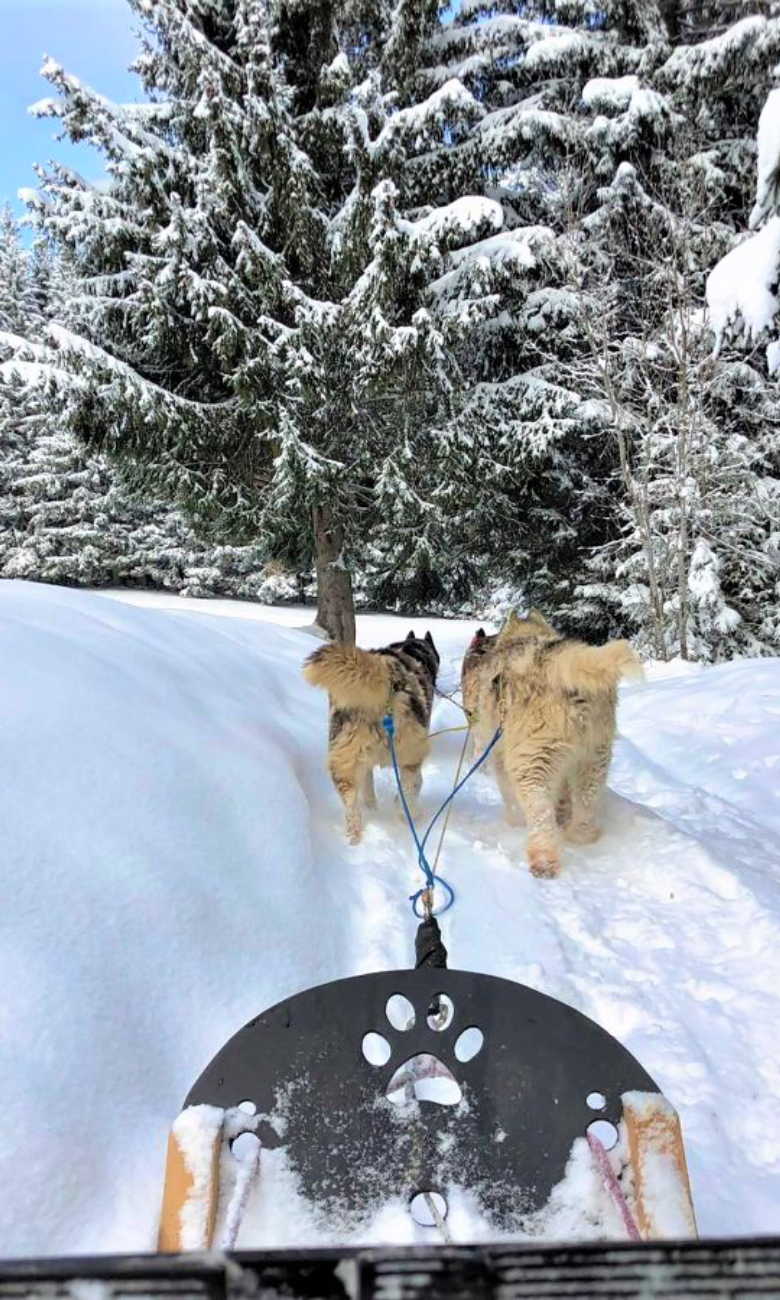 Le Mag vacances - Les enfants deviennent Musher d'un jour