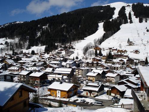 Chalet Le Mirador 9 pers. Rhône-Alpes - Gex visuel 4/19 Chalet Le Mirador 9 pers. Rhône-Alpes - Gex visuel 4/19