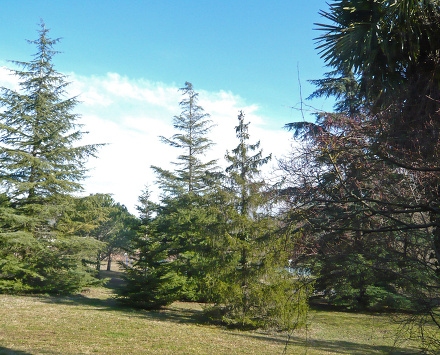 Domaine des Condamines Languedoc-Roussillon - Limoux visuel 4/7