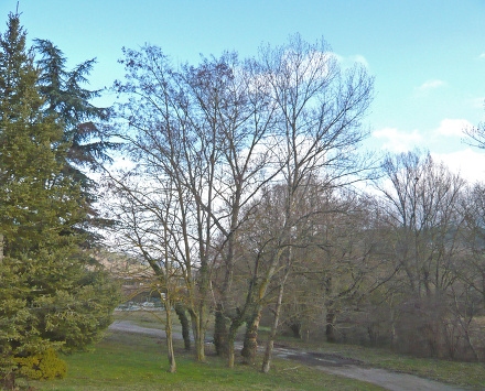 Domaine des Condamines Languedoc-Roussillon - Limoux visuel 5/7