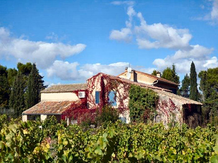 Le Mas de Gratteloup Provence-Alpes-Côte d'Azur - Buisson visuel 3/5 Le Mas de Gratteloup Provence-Alpes-Côte d'Azur - Buisson visuel 3/5