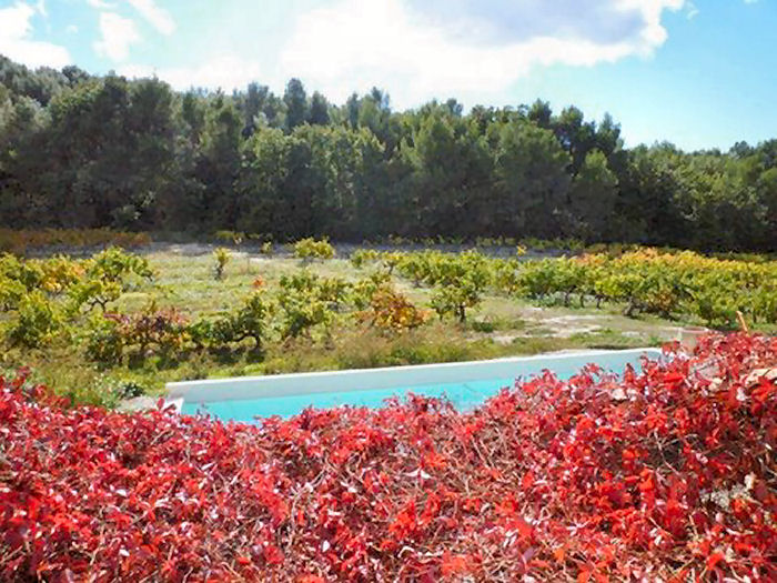 Le Mas de Gratteloup Provence-Alpes-Côte d'Azur - Buisson visuel 4/5 Le Mas de Gratteloup Provence-Alpes-Côte d'Azur - Buisson visuel 4/5