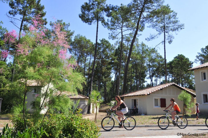Les Demeures du Lac Aquitaine - Casteljaloux visuel 4/9