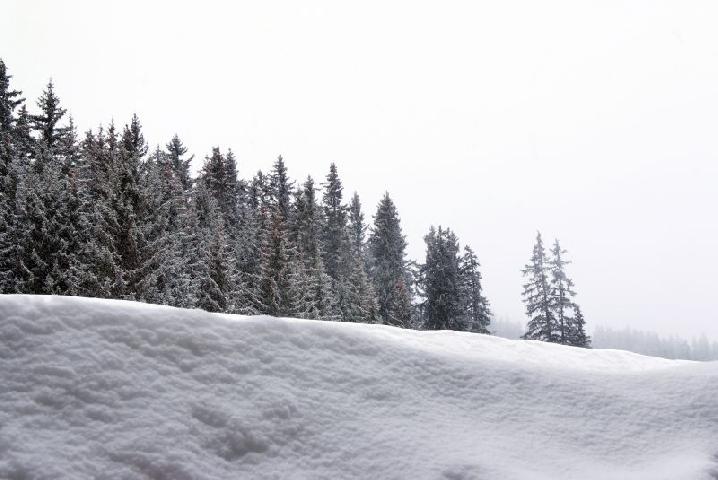 Résidence Forêt du Praz Rhône-Alpes - Courchevel 1850 visuel 9/11