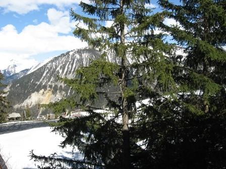 Résidence L'Aiguille de Mey Rhône-Alpes - Courchevel 1850 visuel 4/4