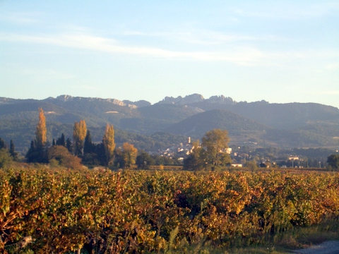 Villa Pinocchio Provence-Alpes-Côte d'Azur - Séguret visuel 2/10