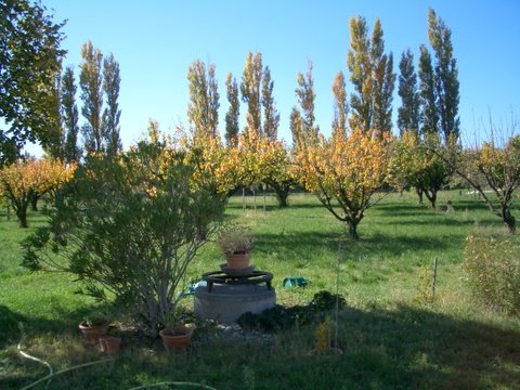 Villa Pinocchio Provence-Alpes-Côte d'Azur - Séguret visuel 10/10