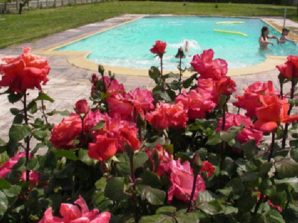 Villa Pinocchio Provence-Alpes-Côte d'Azur - Séguret visuel 9/10