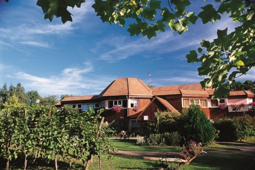 Village de vacances Obernai Alsace - Obernai visuel 8/10 Village de vacances Obernai Alsace - Obernai visuel 8/10