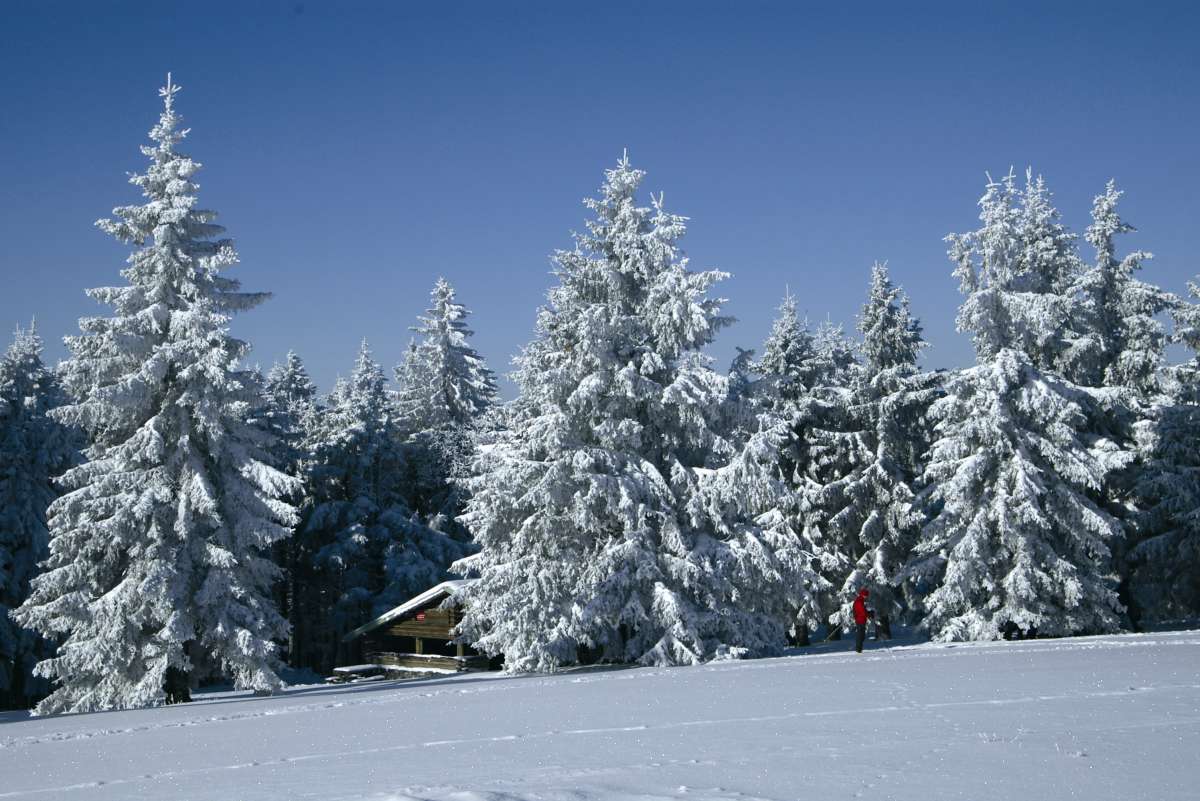 Village Vacances Les Géraniums Alsace - Obernai visuel 5/10 Village Vacances Les Géraniums Alsace - Obernai visuel 5/10