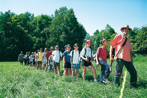 Village Vacances Les Géraniums Alsace - Obernai visuel 10/10 Village Vacances Les Géraniums Alsace - Obernai visuel 10/10
