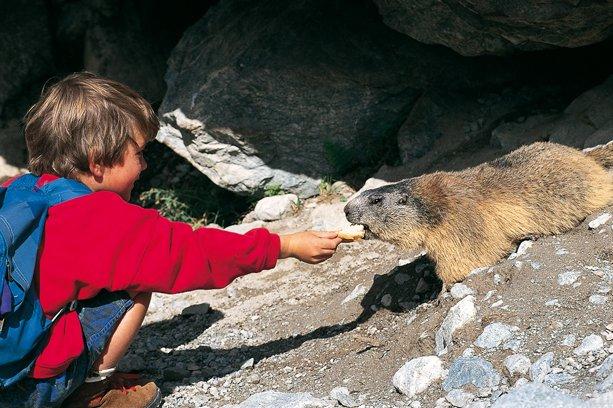 Village Vacances Les Rives de l'Arc Rhône-Alpes - Lanslevillard visuel 17/20 Village Vacances Les Rives de l'Arc Rhône-Alpes - Lanslevillard visuel 17/20