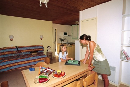 Village Vacances VVF Champs-sur-Tarentaine Auvergne - Champs sur Tarentaine visuel 3/10