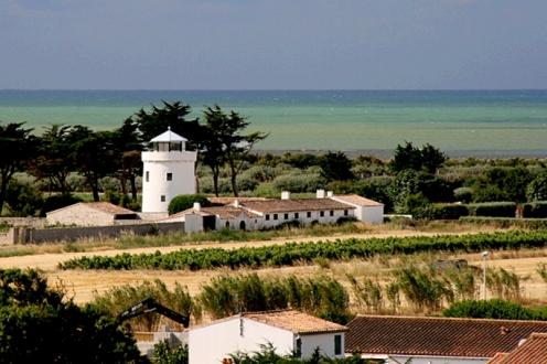 Village Vacances VVF Sainte-Marie-de-Ré Poitou-Charentes - La Couarde visuel 7/10 Village Vacances VVF Sainte-Marie-de-Ré Poitou-Charentes - La Couarde visuel 7/10