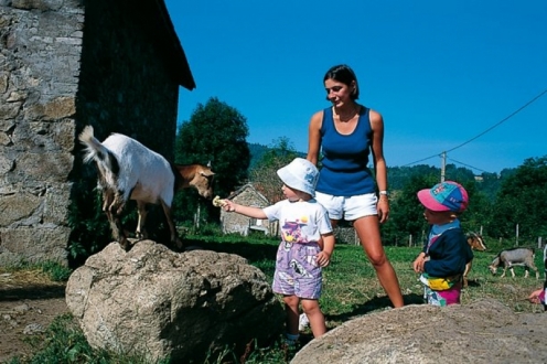 Village Vacances VVF Tence Auvergne - Tence visuel 3/9 Village Vacances VVF Tence Auvergne - Tence visuel 3/9