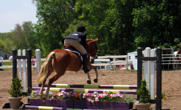 Belambra Club Le Domaine du Golf Pays de Loire - Saumur visuel 9/10