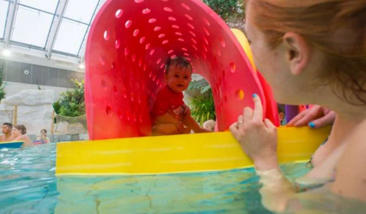 Domaine Le Bois aux Daims Poitou-Charentes - Morton visuel 17/17