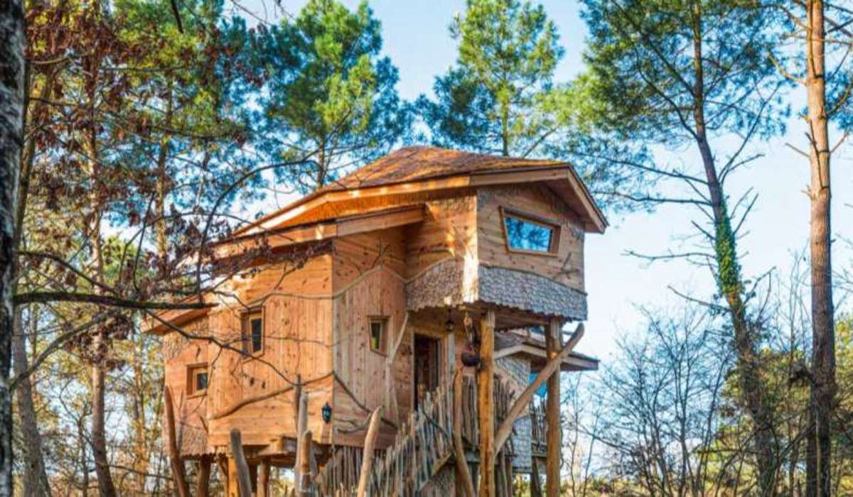 Domaine Le Bois aux Daims Poitou-Charentes - Morton visuel 3/17