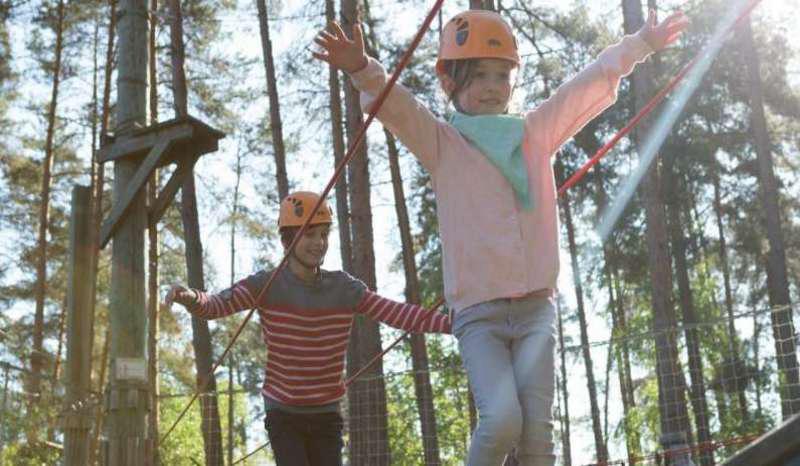 Domaine Les Hauts de Bruyères Grand Centre - Chaumont-sur-Tharonne visuel 15/23