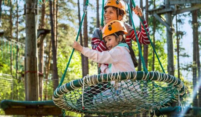 Domaine Les Hauts de Bruyères Grand Centre - Chaumont-sur-Tharonne visuel 8/23