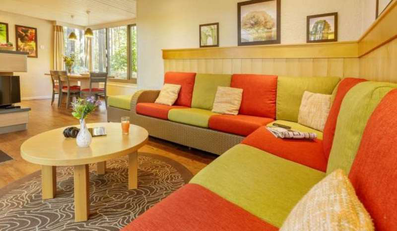 Domaine Les Hauts de Bruyères Grand Centre - Chaumont-sur-Tharonne visuel 13/23