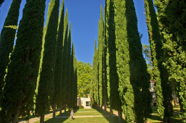Résidence Goelia le Domaine du Moulin Blanc Provence-Alpes-Côte d'Azur - Gordes visuel 4/5