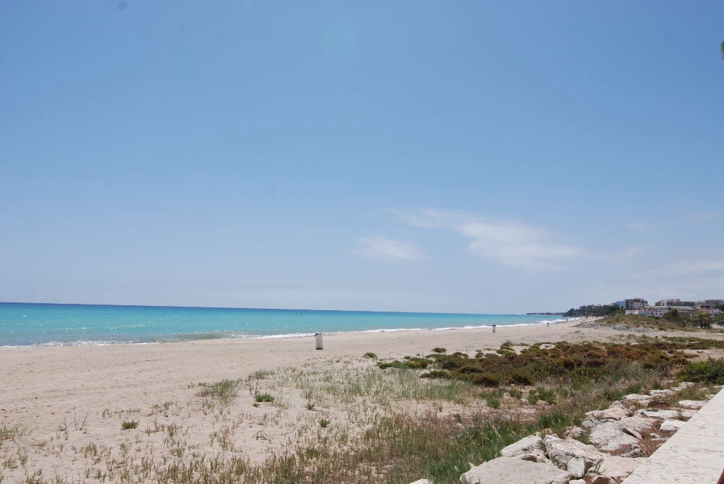 Résidence Guardamar Costa Dorada - Mont-roig del Camp visuel 6/6 Résidence Guardamar Costa Dorada - Mont-roig del Camp visuel 6/6