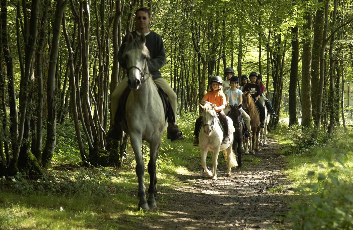 Résidence Les Cottages de ValJoly by Madame Vacances Nord-Pas de Calais - Eppe-Sauvage visuel 11/12
