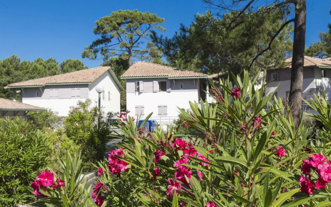 Résidence Odalys Bleu Océan Aquitaine - Moliets-et-Maa visuel 19/24