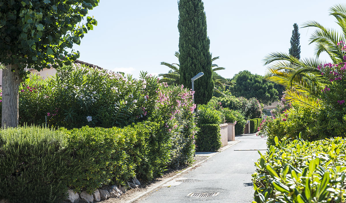 Domaine Les Tamaris et Les Portes du Soleil Languedoc-Roussillon - Portiragnes visuel 5/8 Domaine Les Tamaris et Les Portes du Soleil Languedoc-Roussillon - Portiragnes visuel 5/8