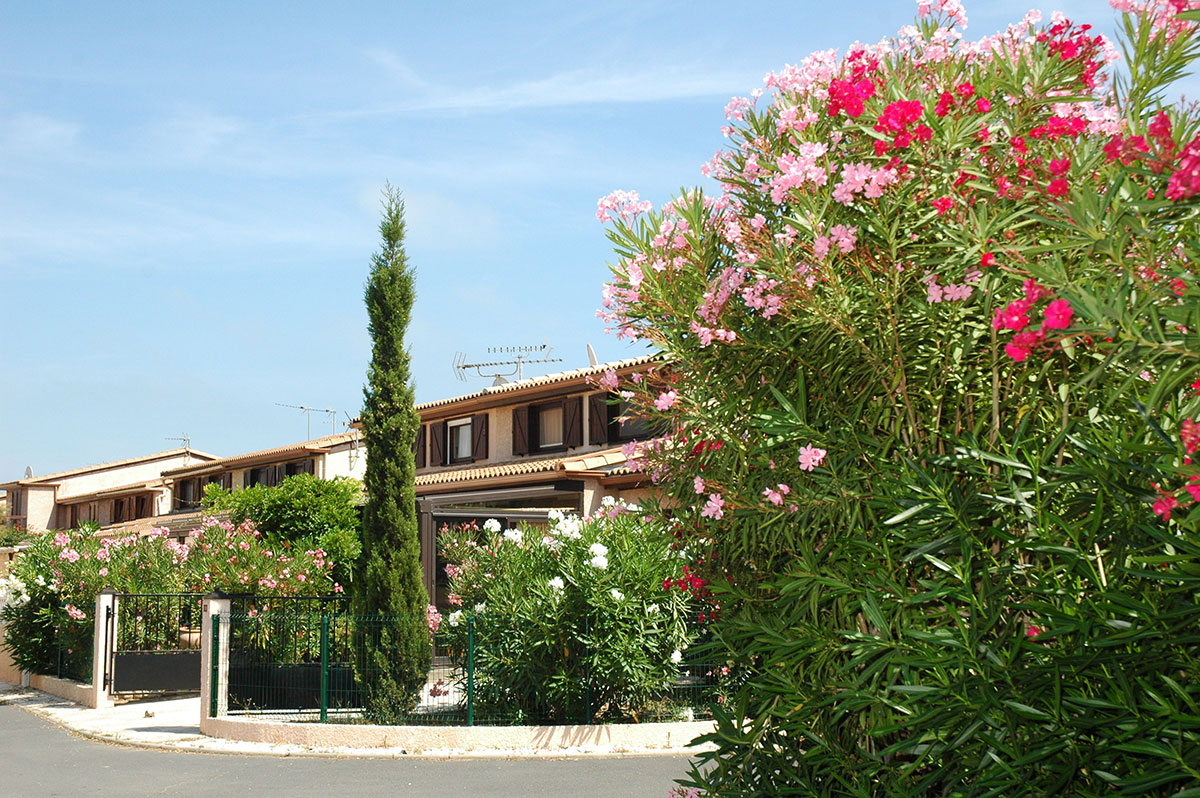 Domaine Les Tamaris et Les Portes du Soleil Languedoc-Roussillon - Portiragnes visuel 6/8 Domaine Les Tamaris et Les Portes du Soleil Languedoc-Roussillon - Portiragnes visuel 6/8