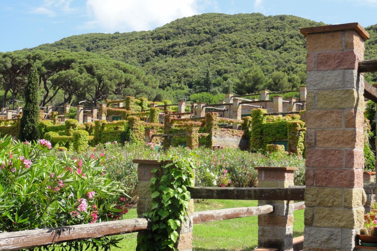 Résidence Sant'Anna Del Volterraio Toscane - Portoferraio visuel 10/13