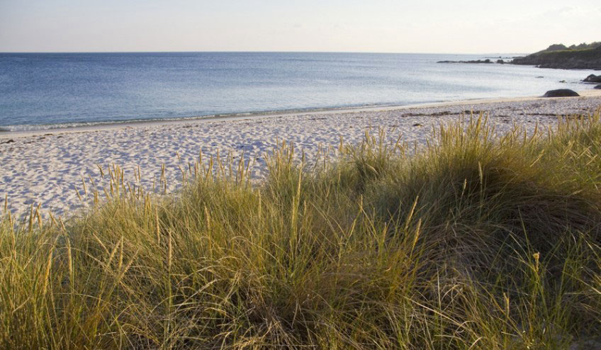 Résidence le Domaine des Glénan Bretagne - Fouesnant visuel 8/11 Résidence le Domaine des Glénan Bretagne - Fouesnant visuel 8/11