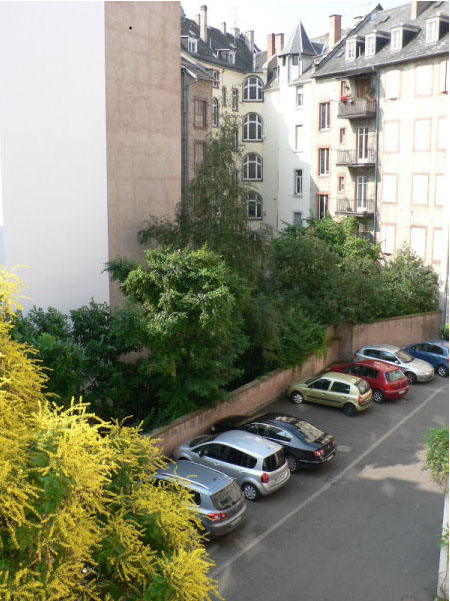 Appart'hôtel Cap Europe Alsace - Strasbourg visuel 2/10 Appart'hôtel Cap Europe Alsace - Strasbourg visuel 2/10