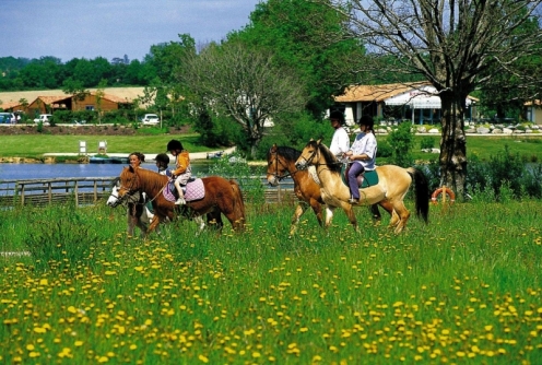 Résidence Au Fil de l'Eau (Centre Nature et Pêche) Poitou-Charentes - Moncoutant visuel 3/14
