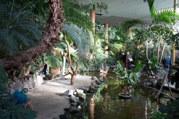 Center Parcs Domaine des Bois Francs - Haute-Normandie - Les Barils visuel 6/11 Center Parcs Domaine des Bois Francs - Haute-Normandie - Les Barils visuel 6/11