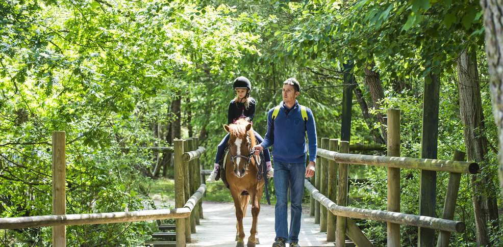 Center Parcs Domaine des Hauts de Bruyères - Grand Centre - Chaumont-sur-Tharonne visuel 6/11