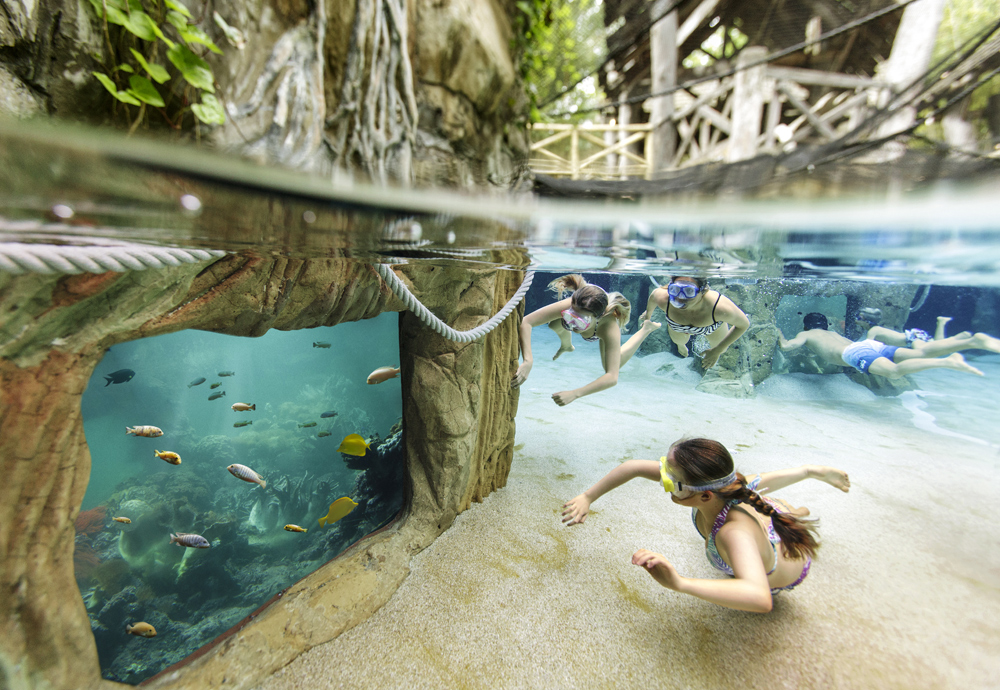 Center Parcs Domaine du Bois aux Daims - Poitou-Charentes - Morton visuel 7/12