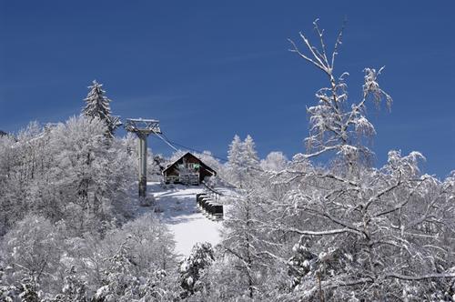 Résidence central Park Labellemontagne Provence-Alpes-Côte d'Azur - Val d'Allos 1500 visuel 25/30 Résidence central Park Labellemontagne Provence-Alpes-Côte d'Azur - Val d'Allos 1500 visuel 25/30