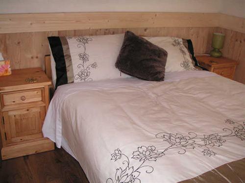 Chalet Beaufort Rhône-Alpes - Arêches Beaufort visuel 1/10