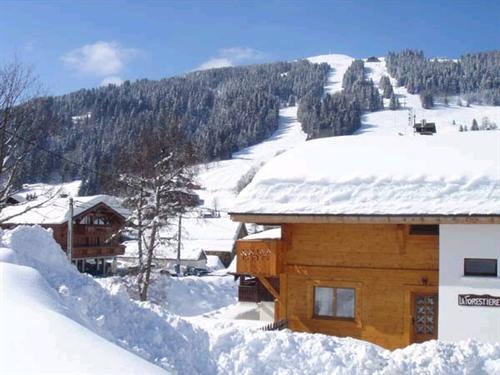 Chalet la Forestière Rhône-Alpes - Les Gets visuel 3/10 Chalet la Forestière Rhône-Alpes - Les Gets visuel 3/10