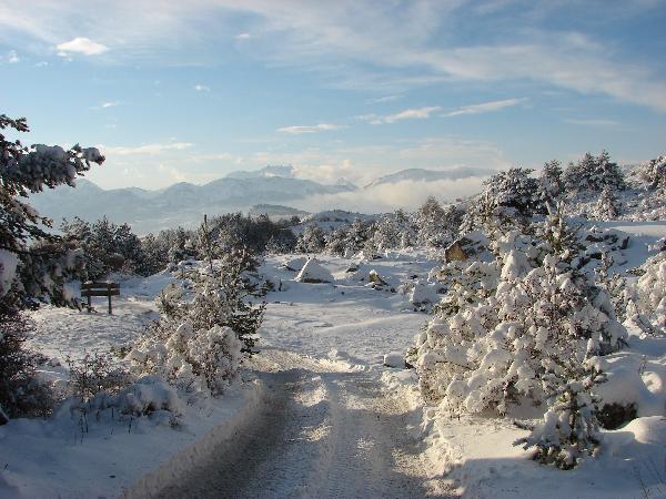 Chalet les 3 Noisettes Provence-Alpes-Côte d'Azur - Ancelle visuel 3/3 Chalet les 3 Noisettes Provence-Alpes-Côte d'Azur - Ancelle visuel 3/3