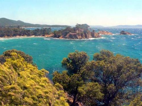 Résidence Chateau La Pascalette Tamaris - Provence-Alpes-Côte d'Azur - La Londe-les-Maures visuel 10/10