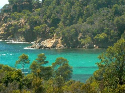 Résidence Chateau Pascalette Figuiers - Provence-Alpes-Côte d'Azur - La Londe-les-Maures visuel 8/10