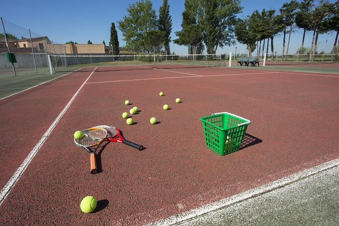 Club Les Amandiers Provence-Alpes-Côte d'Azur - Arles visuel 7/10 Club Les Amandiers Provence-Alpes-Côte d'Azur - Arles visuel 7/10