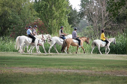 Résidence Club Maeva Camargue L'Estajan Provence-Alpes-Côte d'Azur - Arles visuel 2/10 Résidence Club Maeva Camargue L'Estajan Provence-Alpes-Côte d'Azur - Arles visuel 2/10