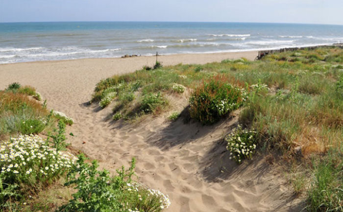 Club Plein Air Vacanciel de Vias Languedoc-Roussillon - Vias visuel 4/10 Club Plein Air Vacanciel de Vias Languedoc-Roussillon - Vias visuel 4/10