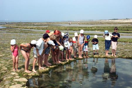 Club Vacances Le Château de Tréambert Pays de Loire - Mesquer visuel 3/9 Club Vacances Le Château de Tréambert Pays de Loire - Mesquer visuel 3/9